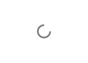 Maramex Hareketli Kağıt Havlu